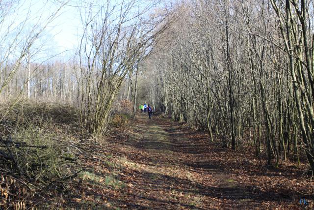 Rando sport nature Rando sport nature