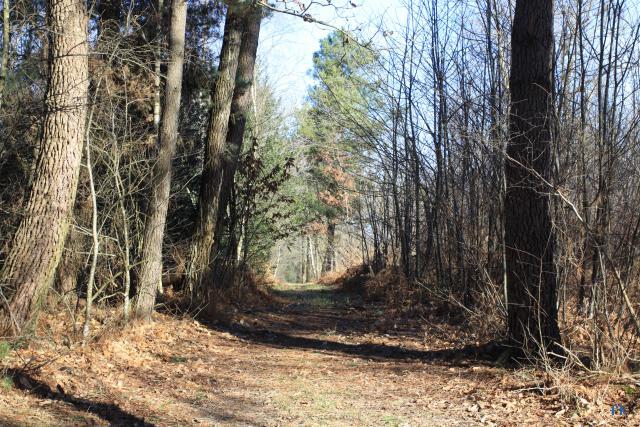 Rando sport nature Rando sport nature