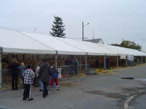 Grand concours régional de race charolaise à Nozay 5 et 6 nov 2004 Grand concours régional de race charolaise à Nozay 5 et 6 nov 2004