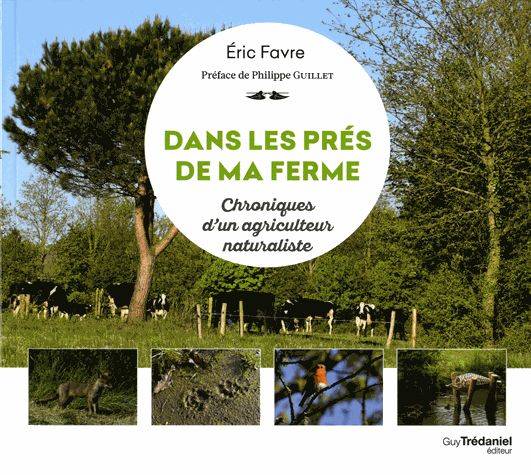 Dans les prés de ma ferme