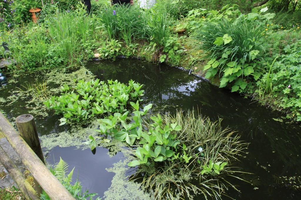 Jardin du Coudrais Jardin du Coudrais