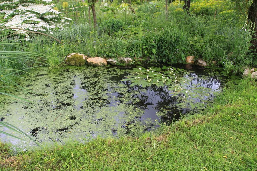 Jardin du Coudrais Jardin du Coudrais