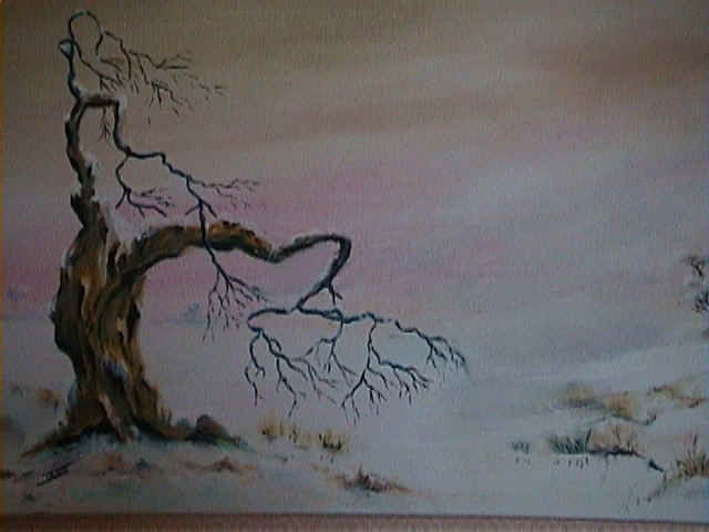 Le vieux saule Le vieux saule