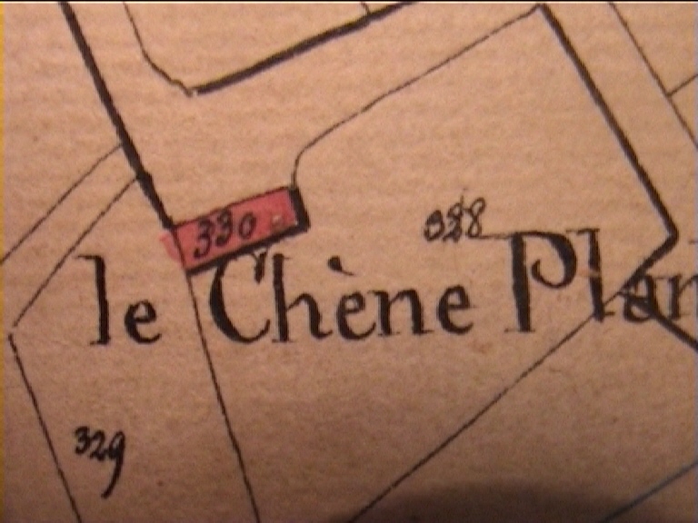 Le Chêne Planté