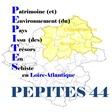 Pépites 44