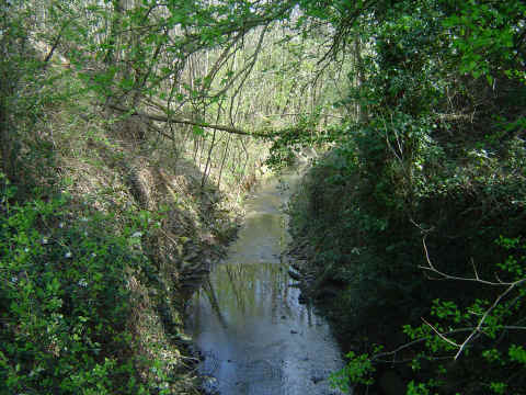 Le Cétrais qui a réuni toutes les eaux de la ville de Nozay, part se jeter dans le Sauzignac et dans le Don Le Cétrais qui a réuni toutes les eaux de la ville de Nozay, part se jeter dans le Sauzignac et dans le Don