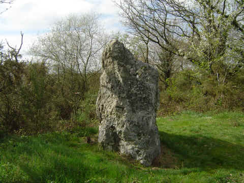 Pour ceux qui ont fait un petit détour, le Menhir de Croisbrac se dore aux rayons de soleil. Taille : 2m50 Pour ceux qui ont fait un petit détour, le Menhir de Croisbrac se dore aux rayons de soleil. Taille : 2m50