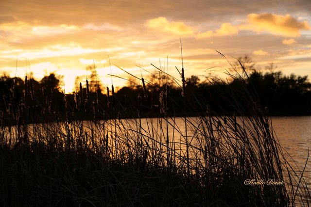 Etang de Nozay